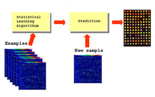 Diagram showing a method of predicting the type of cancer from DNA chips.