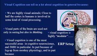 Image of what-where visual processing pathways, and an evoked response potential (ERP) setup.