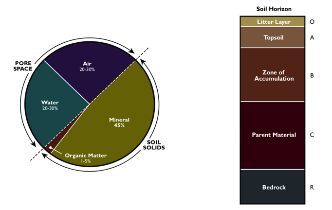 A pie chart and a thick bar with 5 colors.