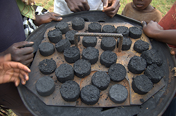 A group of people standing around charcoal pellets made from corn cobs.