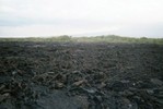 Brown-black irregular rocks cover the ground; on the horizon, green vegetation is visible.