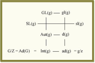 Representation of the adjoint group.