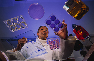 A photo from under a glass table, looking up at a researcher examining some cell cultures.