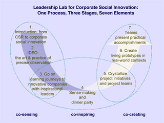 Leadership Lab for Corporate Social Innovation: One Process, Three Stages, Seven Elements.